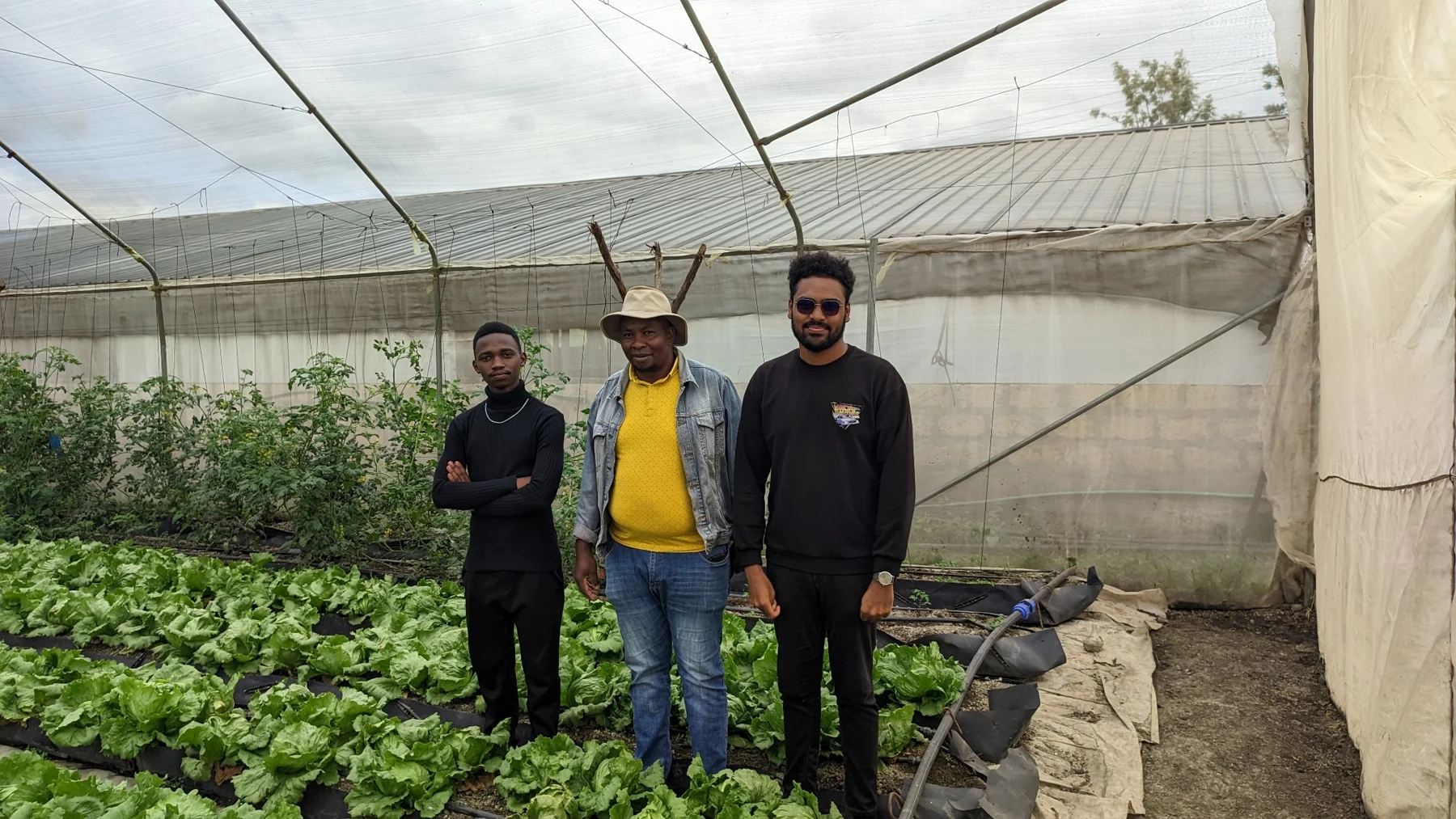 Conversations at the growing site