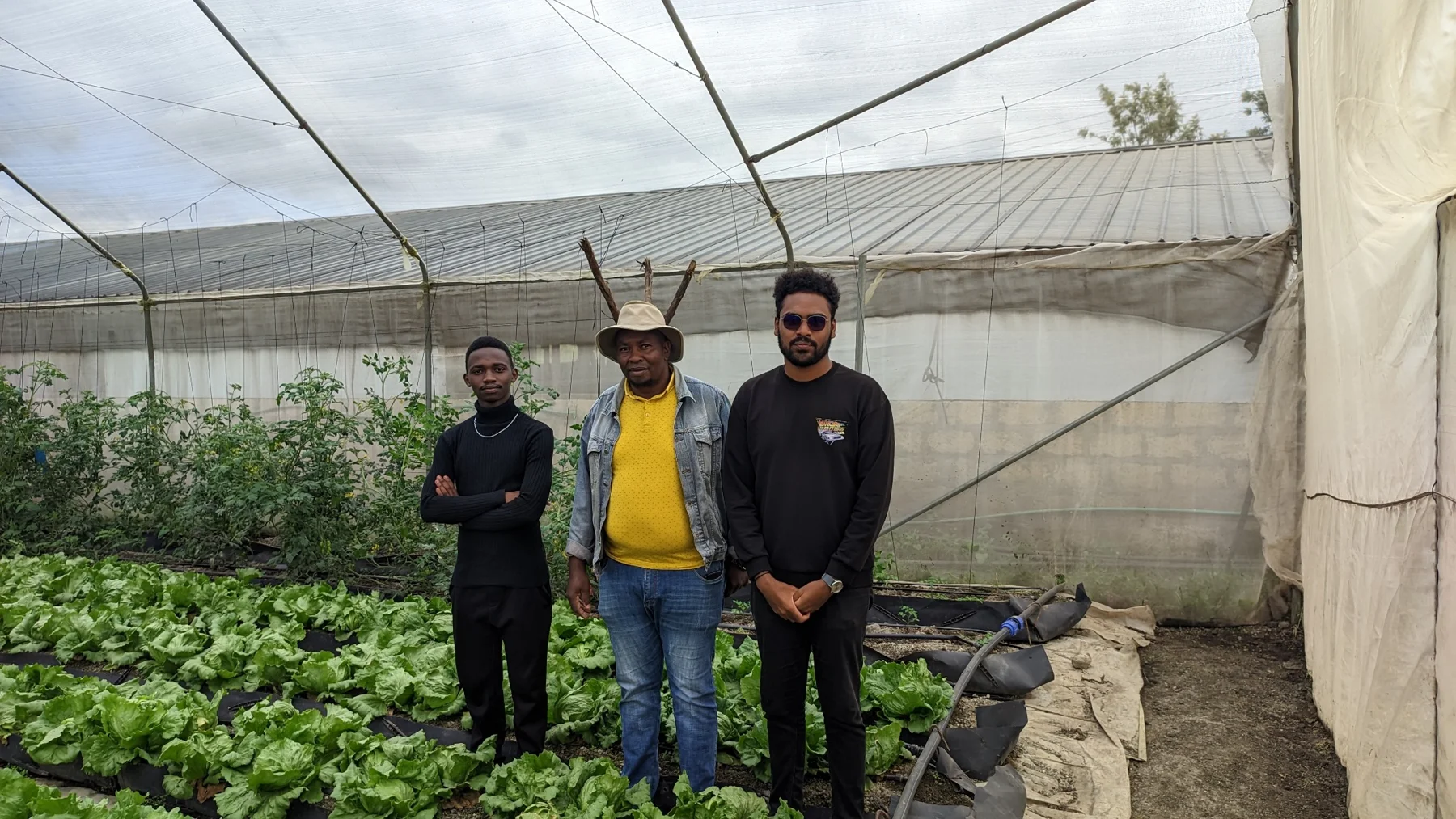 Exploring the growing environment
